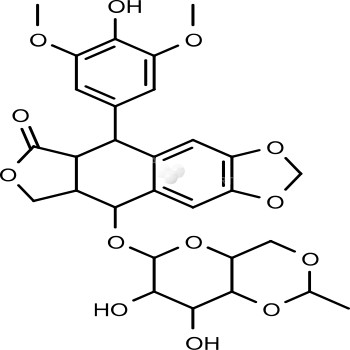 Etoposide