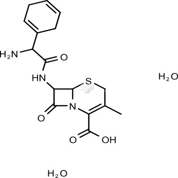 Cephradine