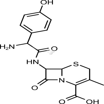 Cefadroxil