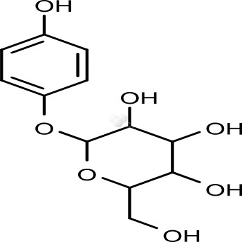 Arbutin