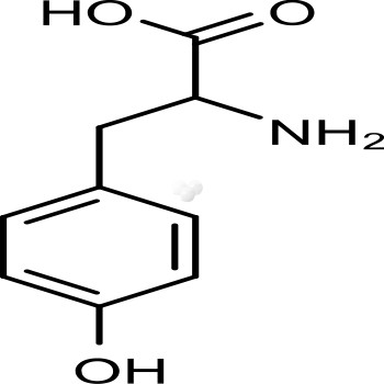 Tyrosine