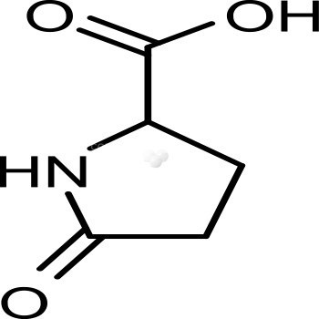 L-Pyroglutamic acid