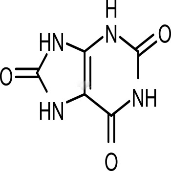 Uric Acid