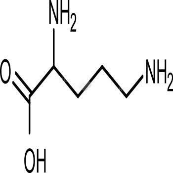 L-Ornithine