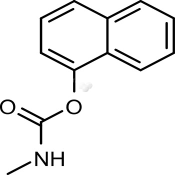 Carbaryl