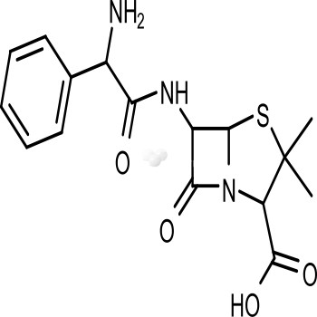 Ampicillin