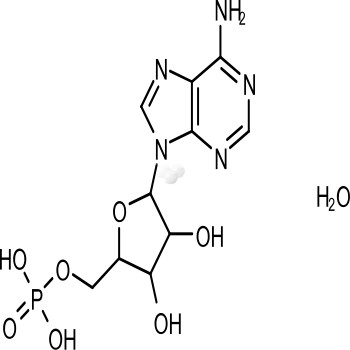 Adenosine 5'-monophosphate monohydrate