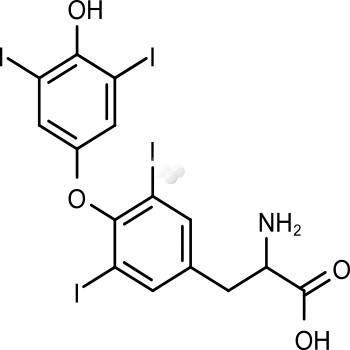 L-Thyroxine