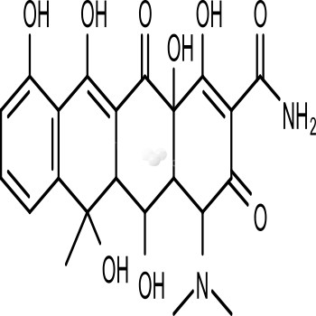 Oxytetracycline (Terramycin)