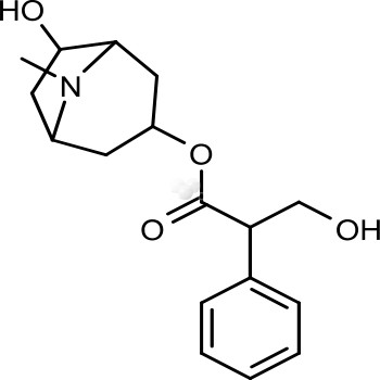 Anisodamine