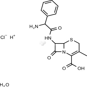 Cephalexin