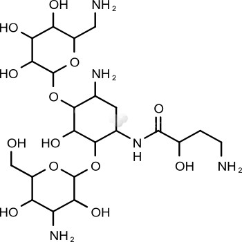 Amikacin