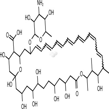 Amphotericin B