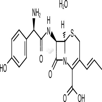 Cefprozil hydrate