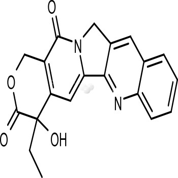 (S)-(+)-Camptothecin