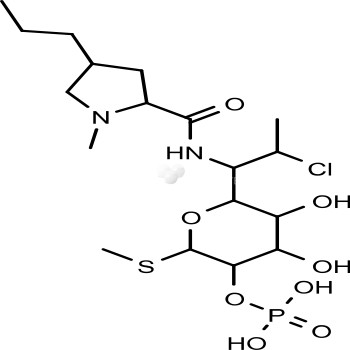 Clindamycin phosphate