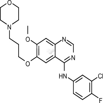 Gefitinib (ZD1839)