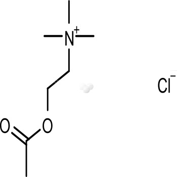 Acetylcholine chloride