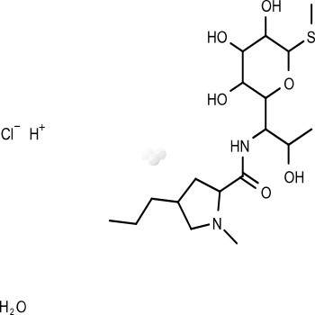 Lincomycin hydrochloride monohydrate