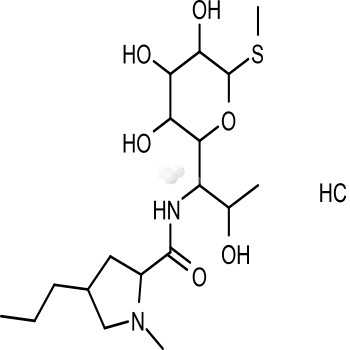 Lincomycin hydrochloride