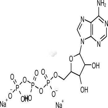 Adenosine 5'-triphosphate disodium salt