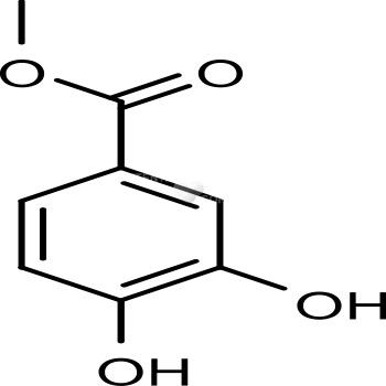 Methyl protocatechuate