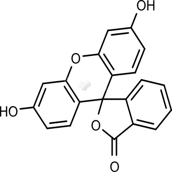 Fluorescein