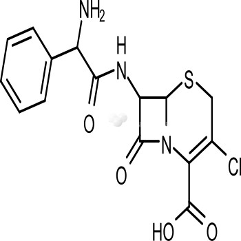 Cefaclor monohydrate