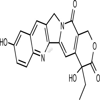 Hydroxy Camptothecine