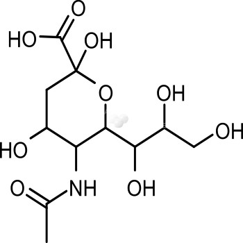 N-Acetylneuraminic acid