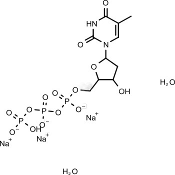 Deoxythymidine triphosphate