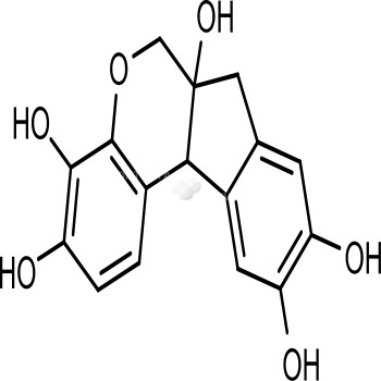 Hematoxylin