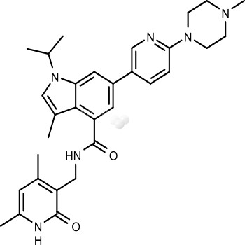 GSK503