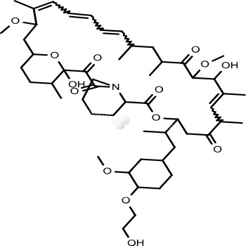 Everolimus (RAD001)