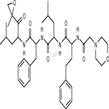 Carfilzomib (PR-171)