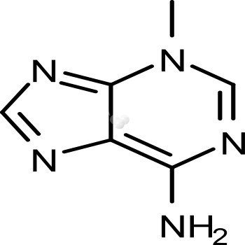 3-Methyladenine (3-MA)