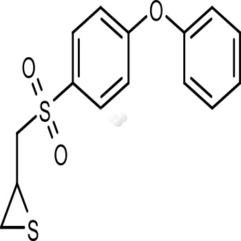 SB-3CT