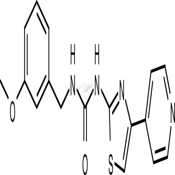 RKI-1313