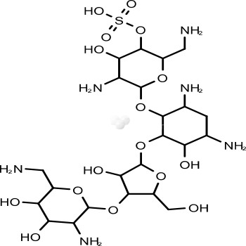 Neomycin Sulphate B 