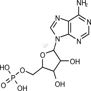 Adenosine 5'-monophosphate