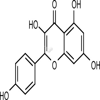 Kaempferol