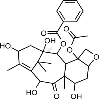 10-Deacetylbaccatin III