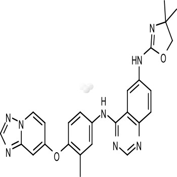 Irbinitinib(ARRY-380; ONT-380)