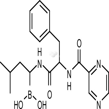 Bortezomib (PS-341)