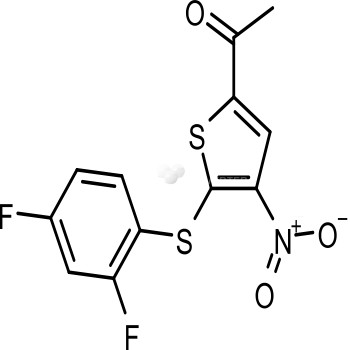 P22077