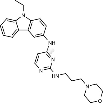 EHop-016