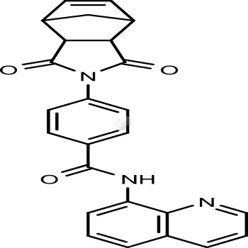 IWR-1-endo