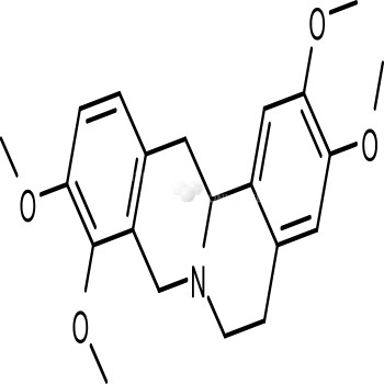 Rotundine, TETRAHYDROPALMATINE HYDROCHLORIDE