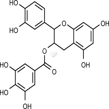 (-)-Epicatechin gallate