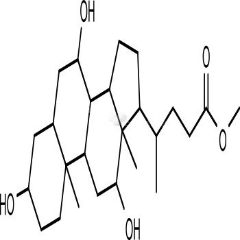 Methyl Cholate